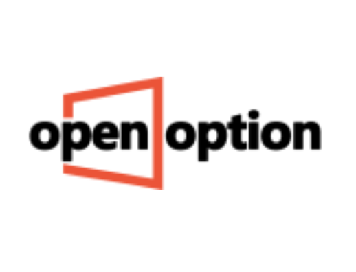 OpenOption лого