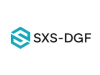 SXS dgf обзор
