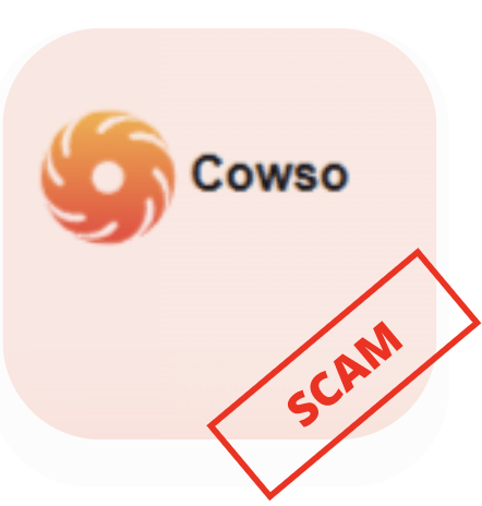 Cowso лого