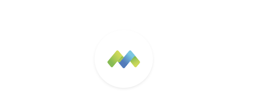 Morfin FX LLC лого