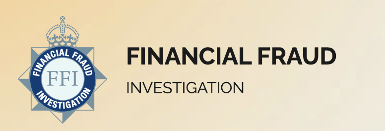 Financial Fraud Investigation обзор